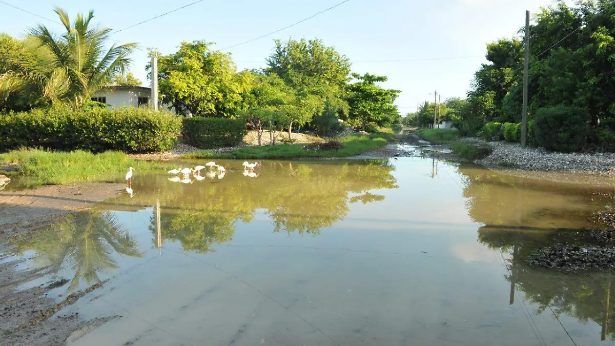 Habitantes del Sector Conchero viven con calles inundadas Alfredo Márquez (2)